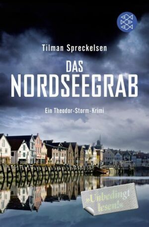 Das Nordseegrab / Theodor Storm Bd.1