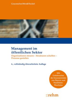 Management im öffentlichen Sektor