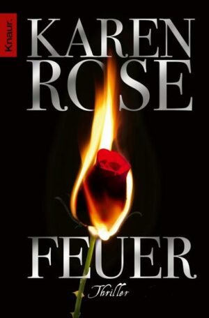 Feuer / Lady-Thriller Bd.11