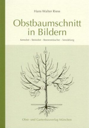 Obstbaumschnitt in Bildern