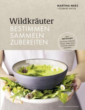 Wildkräuter – Bestimmen