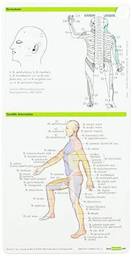 Neurologie pocketcard Set