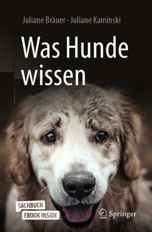 Was Hunde wissen