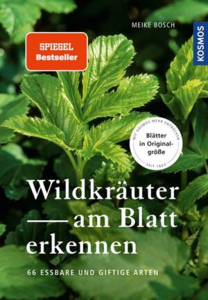 Wildkräuter am Blatt erkennen