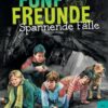 Fünf Freunde - Spannende Fälle - DB 03