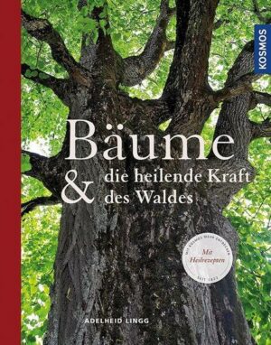 Bäume & die heilende Kraft des Waldes