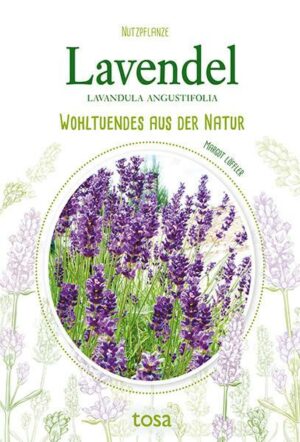 Lavendel