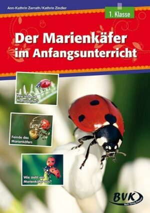 Der Marienkäfer im Anfangsunterricht