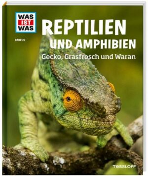 WAS IST WAS  Band 20 Reptilien und Amphibien. Gecko