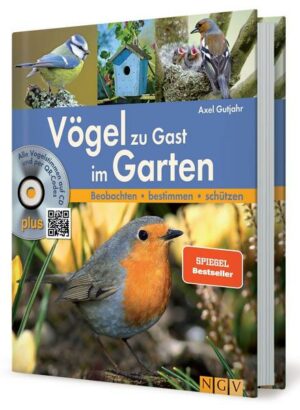 Vögel zu Gast im Garten