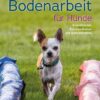 Bewusste Bodenarbeit für Hunde