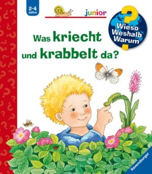 Was kriecht und krabbelt da? / Wieso? Weshalb? Warum? Junior Bd. 36