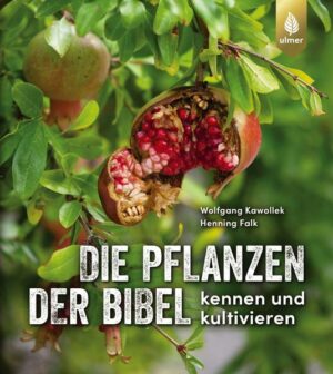 Die Pflanzen der Bibel