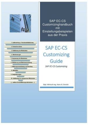 Einführung in das Customizing des Konsolidierungstools SAP EC-CS