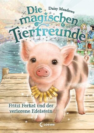 Die magischen Tierfreunde (Band 14) - Fritzi Ferkel und der verlorene Edelstein