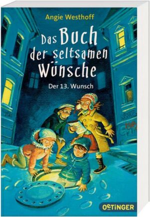 Der 13. Wunsch / Das Buch der seltsamen Wünsche Bd. 2