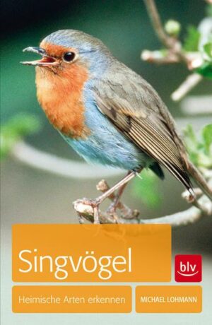 Singvögel