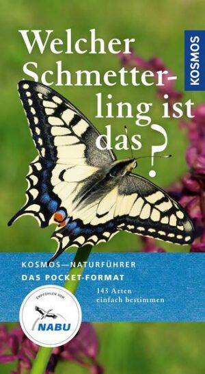 Welcher Schmetterling ist das?