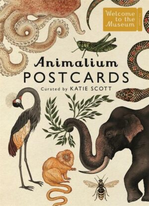 Animalium Postcards