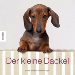 Der kleine Dackel