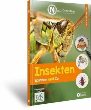 Insekten