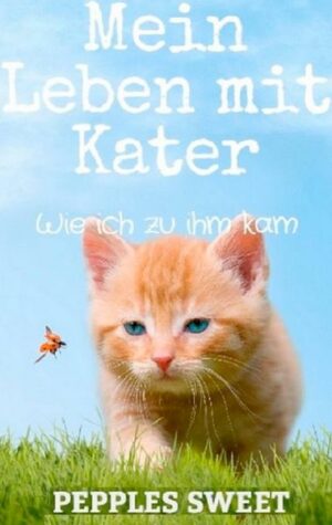 Mein Leben mit Kater