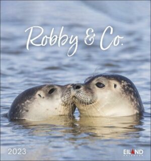 Robby & Co. Postkartenkalender 2023