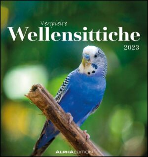 Wellensittiche 2023 - Postkartenkalender 16x17 cm - Budgies - zum Aufstellen oder Aufhängen - Monatskalendarium - Gadget - Mitbringsel - Alpha Edition