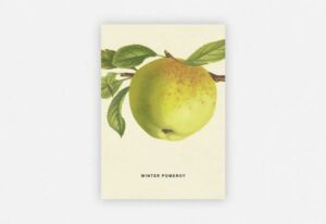 An Apple a Day 2020 - Postkartenset