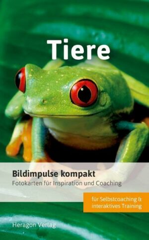 Bildimpulse kompakt: Tiere