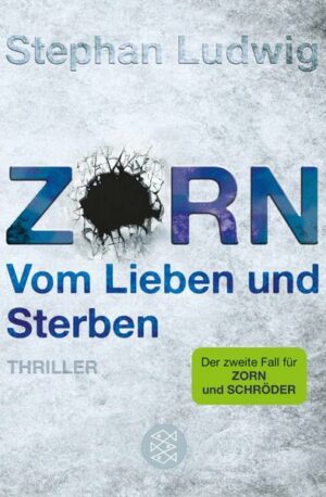 Zorn - Vom Lieben und Sterben / Hauptkommissar Claudius Zorn Bd.2