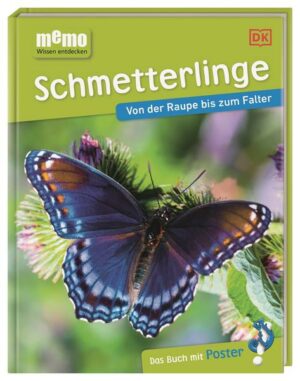 Memo Wissen entdecken. Schmetterlinge