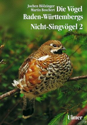Die Vögel Baden-Württembergs. (Avifauna Baden-Württembergs) / Die Vögel Baden-Württembergs Band 2.2 - Nicht-Singvögel 2