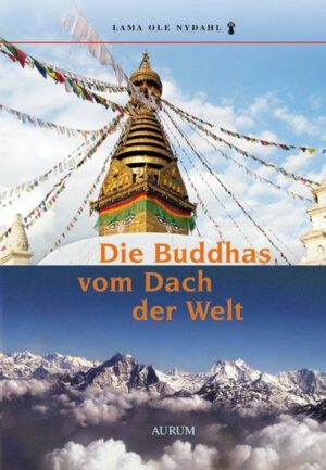 Die Buddhas vom Dach der Welt