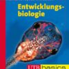 Entwicklungsbiologie