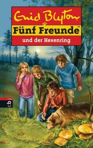 Fünf Freunde und der Hexenring / Fünf Freunde Bd.53