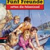 Fünf Freunde retten die Felseninsel / Fünf Freunde Bd.45
