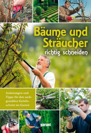 Bäume und Sträucher richtig schneiden