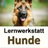 Lernwerkstatt Hunde