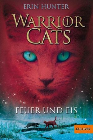 Feuer und Eis / Warrior Cats Staffel 1 Bd.2