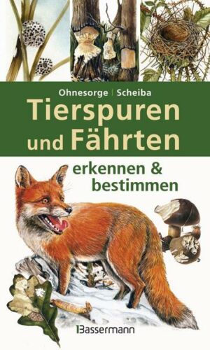 Tierspuren und Fährten erkennen & bestimmen