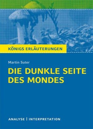 Die dunkle Seite des Mondes von Martin Suter.