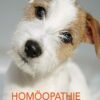 Homöopathie für Hunde