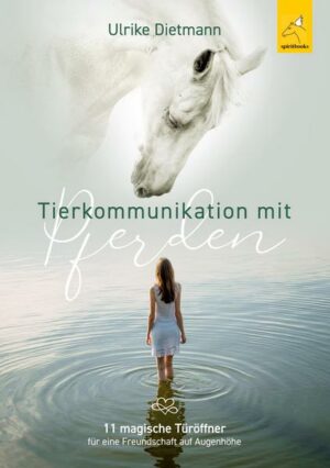 Tierkommunikation mit Pferden