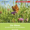 Die Wiese