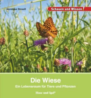 Die Wiese