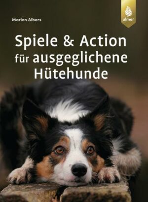 Spiele und Action für ausgeglichene Hütehunde