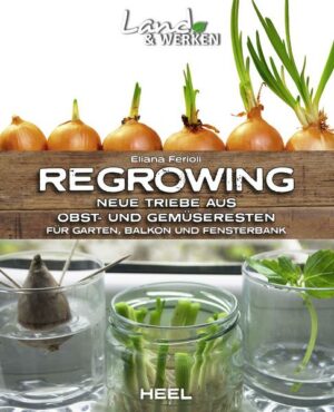 Regrowing –  Neue Triebe aus Obst- und Gemüseresten
