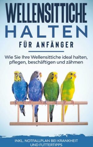 Wellensittiche halten für Anfänger: Wie Sie Ihre Wellensittiche ideal halten