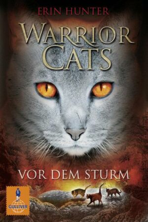 Vor dem Sturm / Warrior Cats Staffel 1 Bd.4